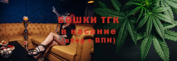молекула духа Михайловск