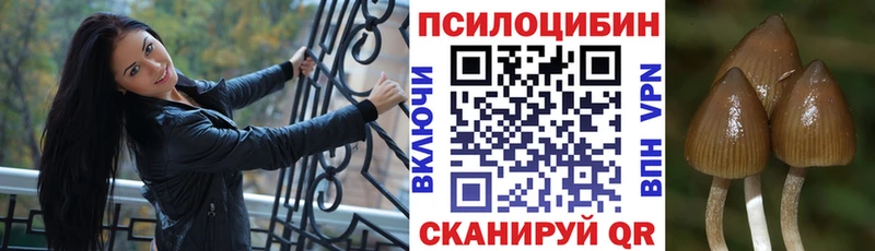 ссылка на мегу сайт  Вытегра  даркнет телеграм  цена наркотик  Псилоцибиновые грибы Psilocybe 