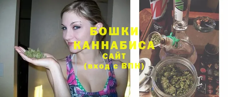 Марихуана индика  Вытегра 